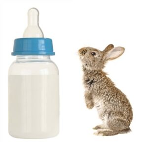 goat milk for baby bunnies